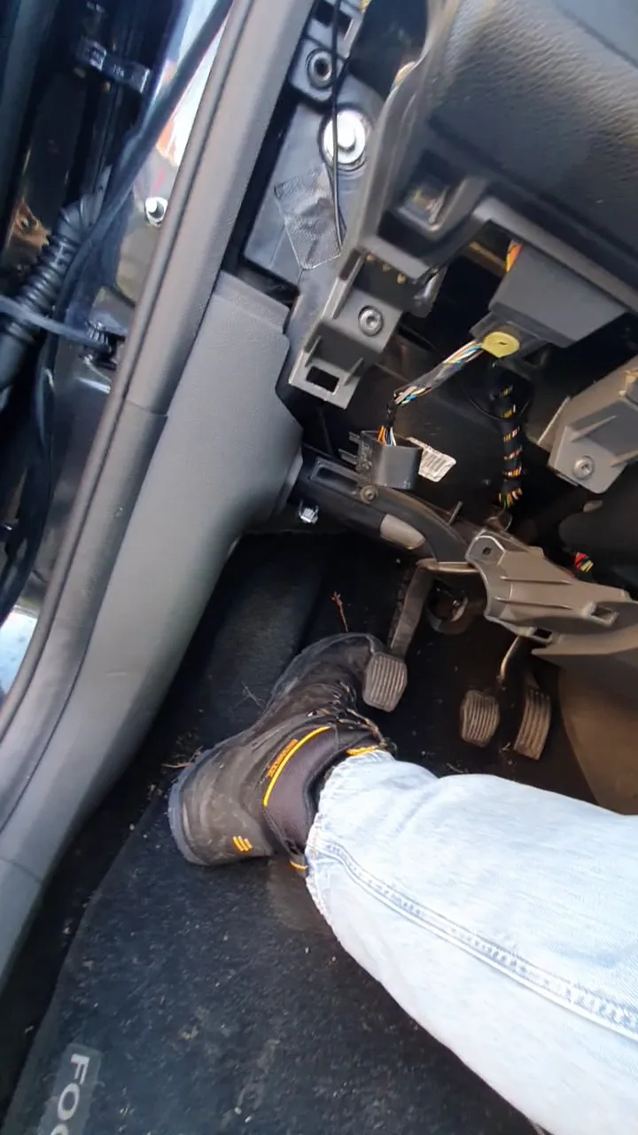 vlcsnap-2025-01-25-19h54m13s117